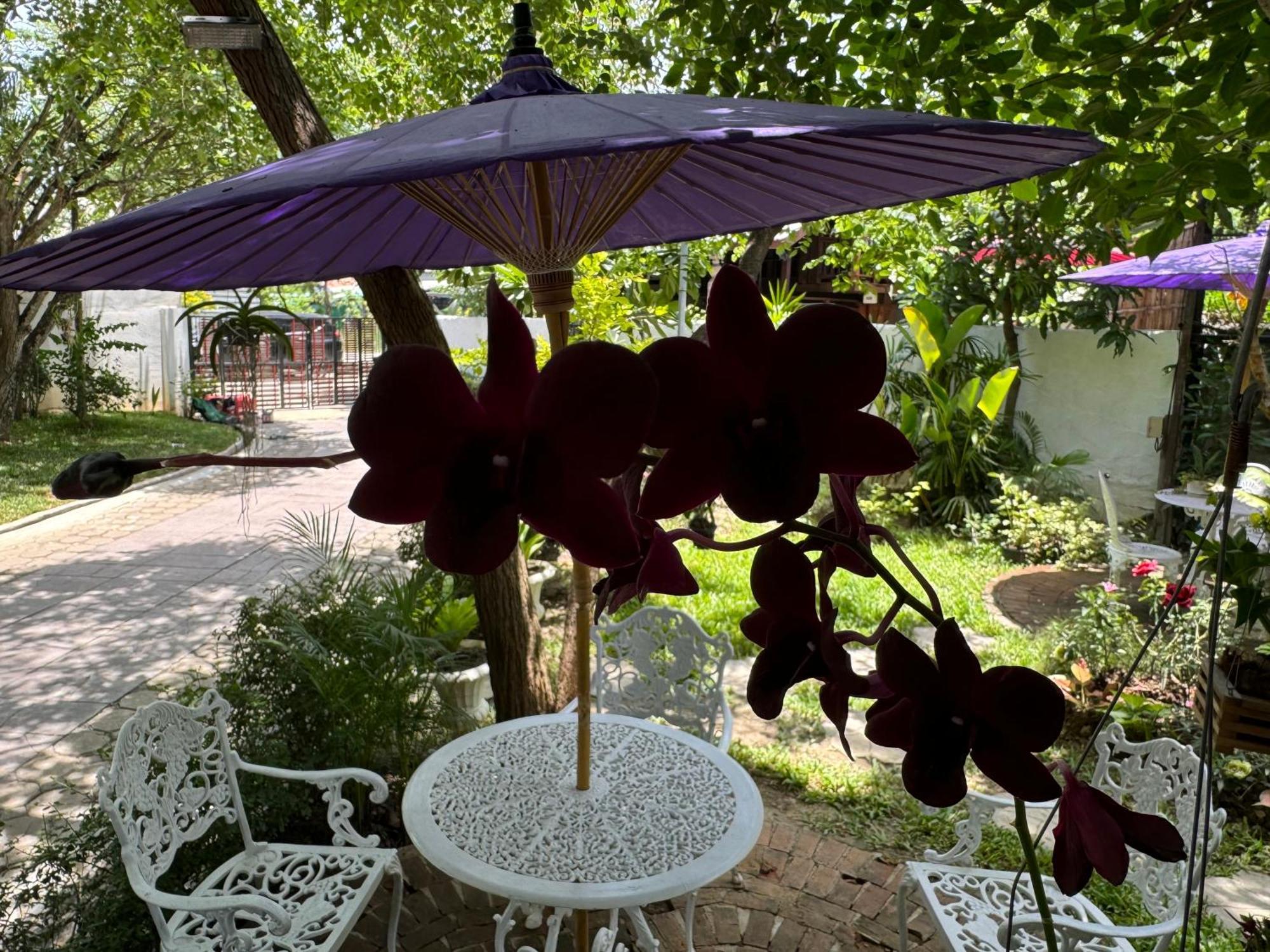 Chiang Mai Las Orquideas Resort Bagian luar foto