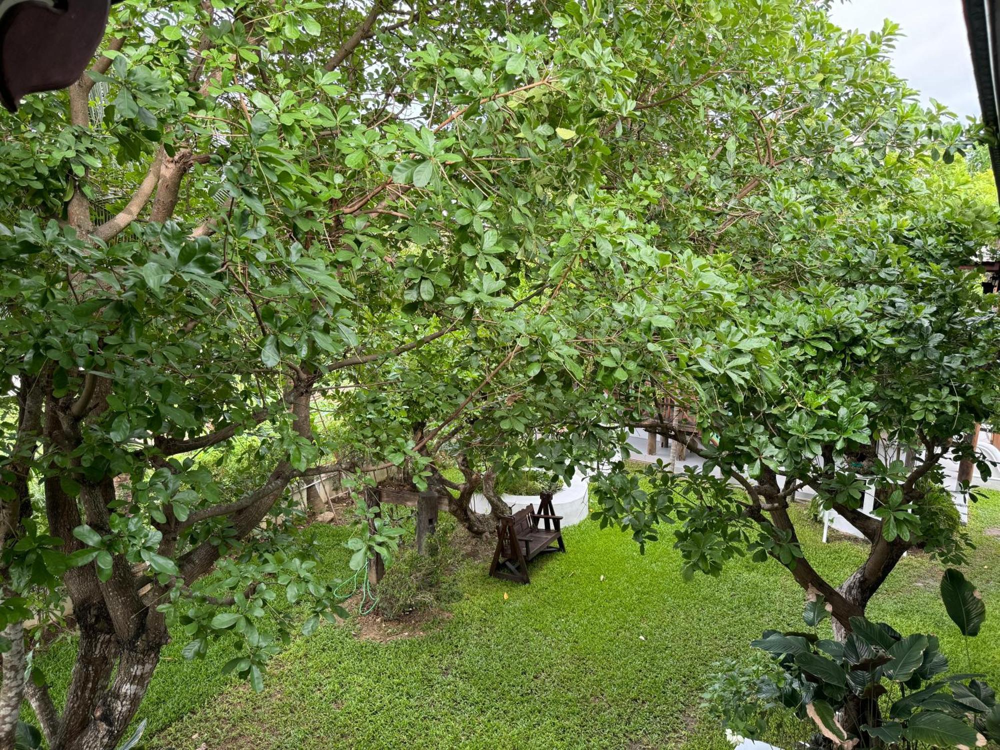 Chiang Mai Las Orquideas Resort Bagian luar foto