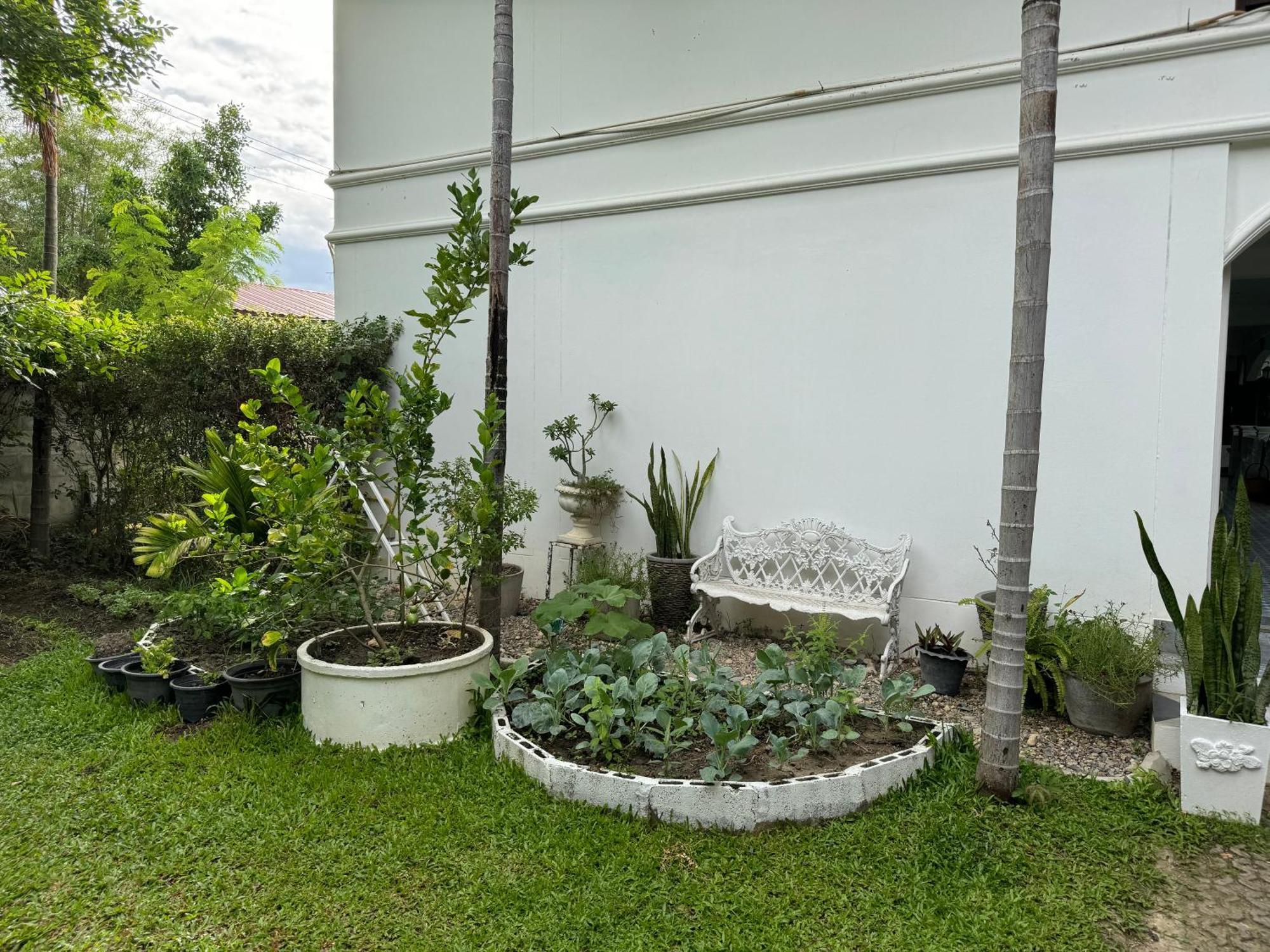 Chiang Mai Las Orquideas Resort Bagian luar foto
